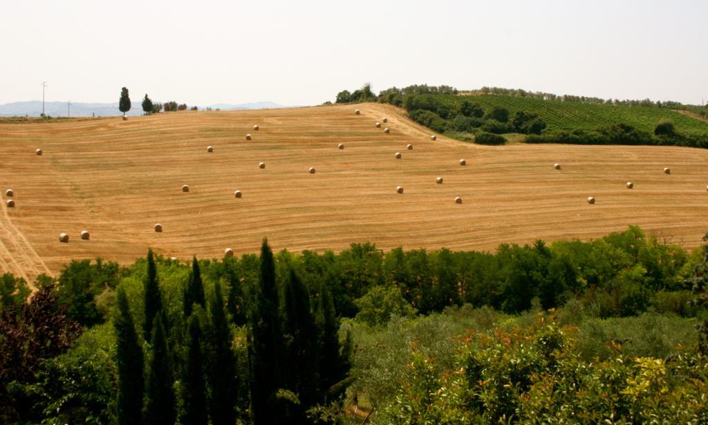 라스트라아시냐 Podere Gattabigia 아파트 외부 사진